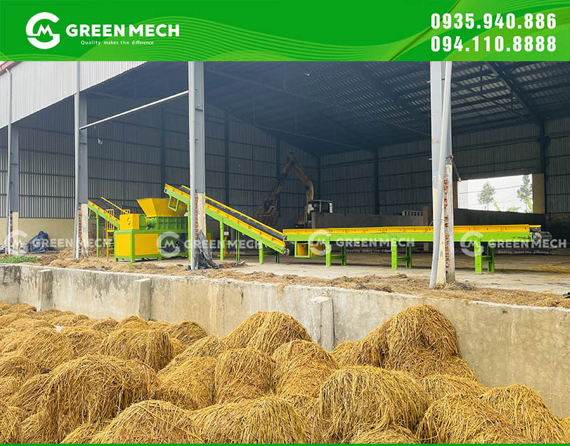Máy nghiền rơm rạ GREEN MECH đã được nhiều trang trại trồng nấm quy mô lớn đưa vào sử dụng và mang lại những kết quả vượt mong đợi